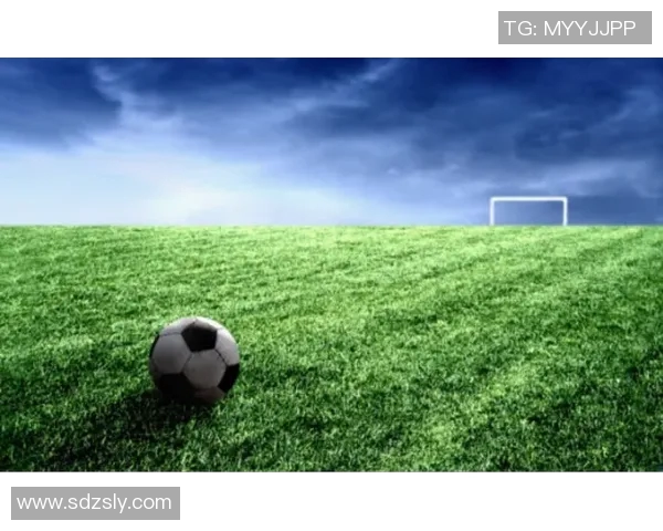 爷爷的足球:传承与梦想交织的温暖故事 爷爷的足球:传承与梦想交织的温暖故事