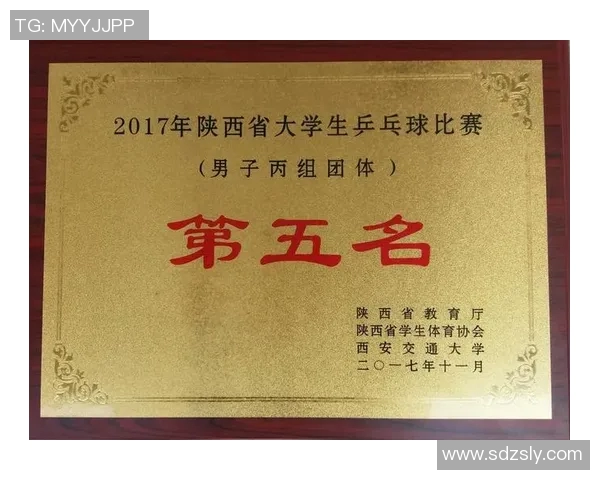 西安乒乓球队耐力对比深度剖析与训练策略探讨